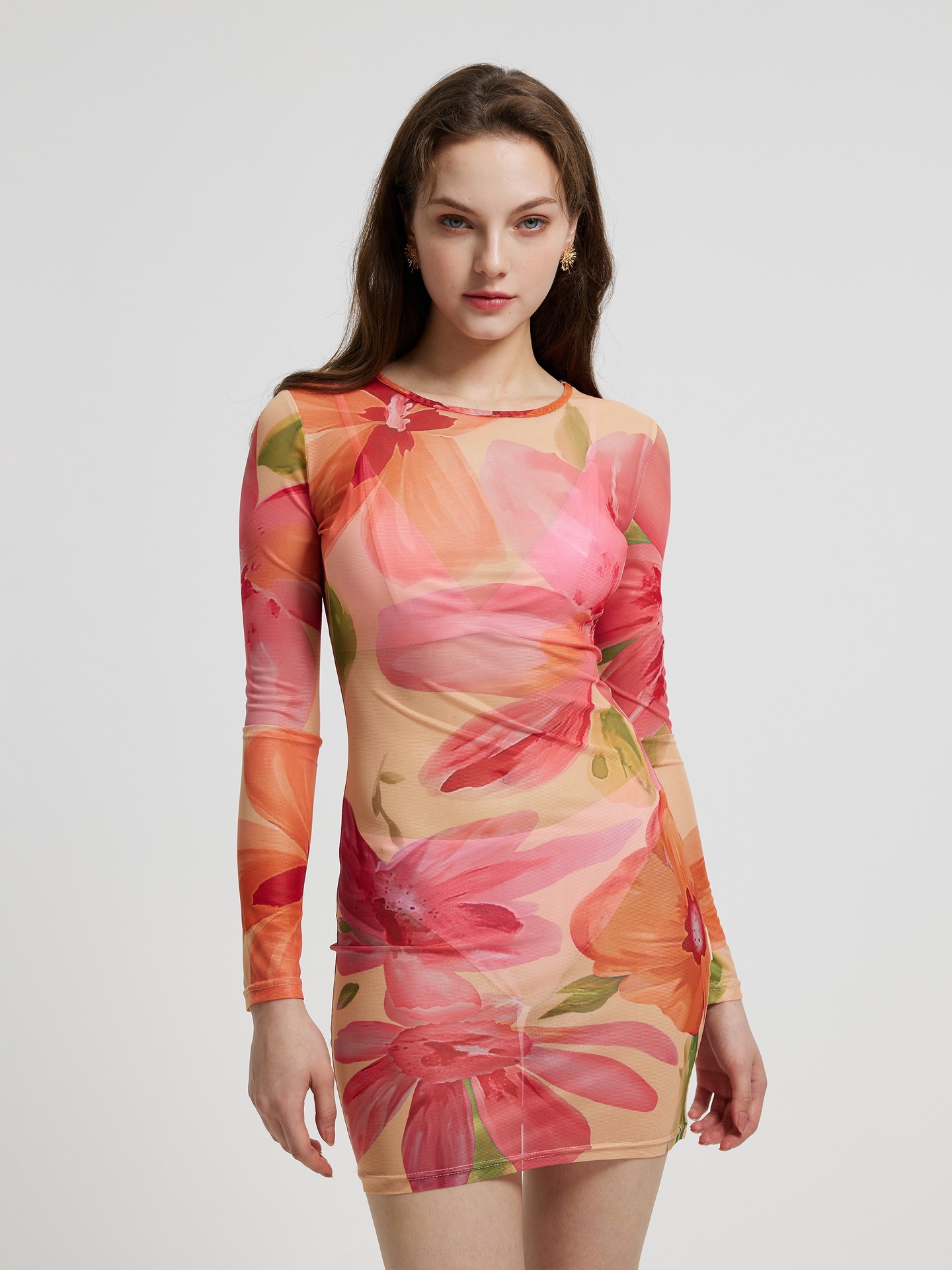 Sheer 2024 bodycon dress