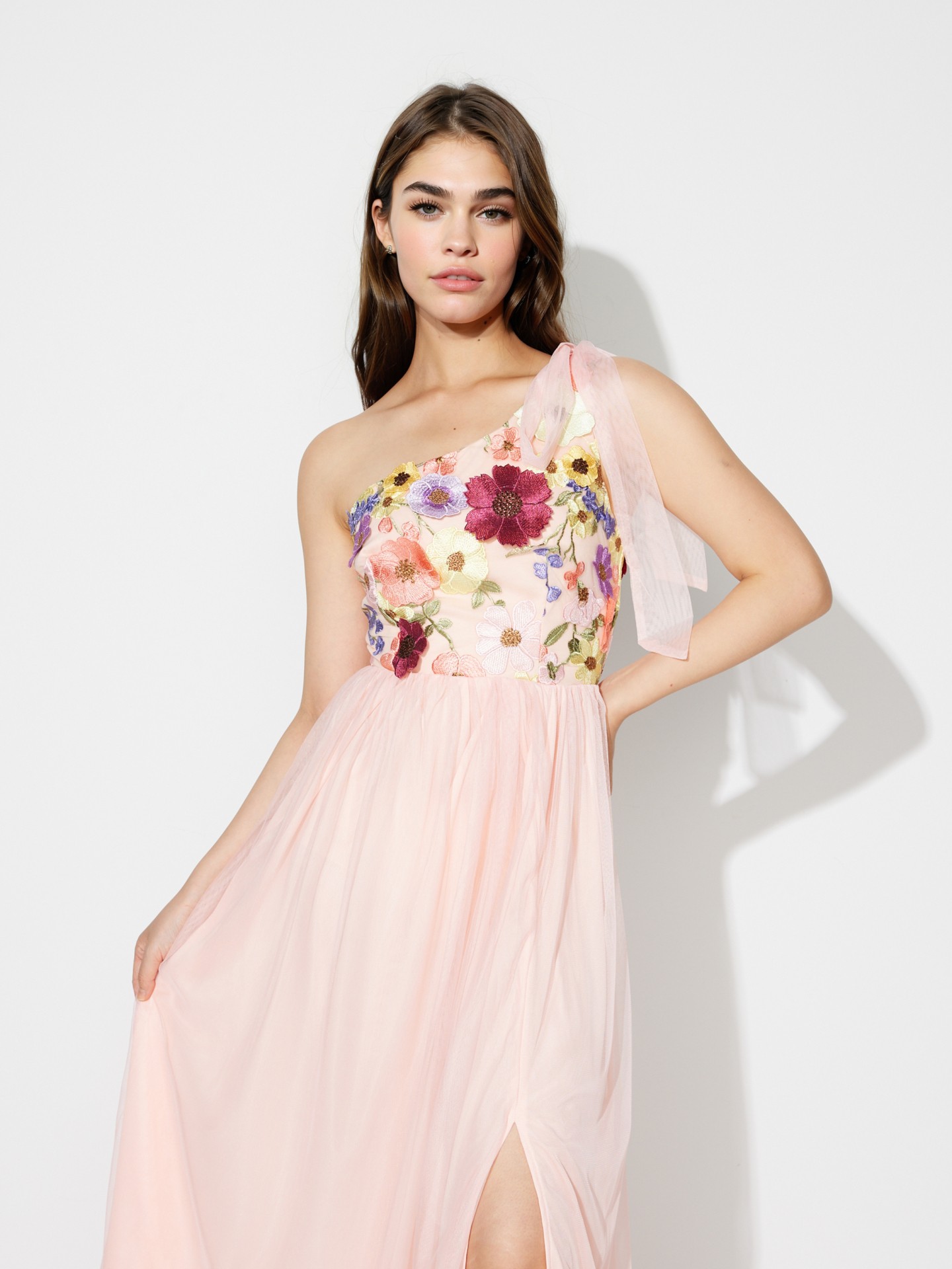 Embroidered A-Line Dress